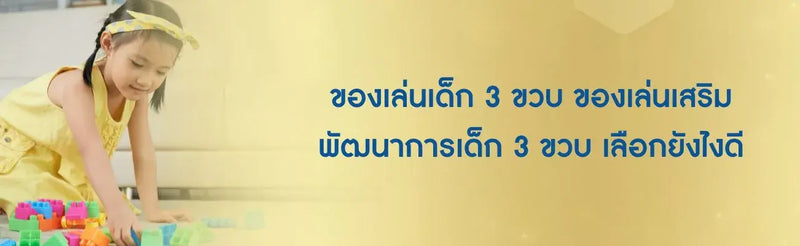 ของเล่นเด็ก 3 ขวบ