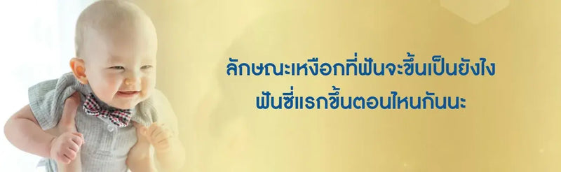 ลักษณะเหงือกที่ฟันจะขึ้น