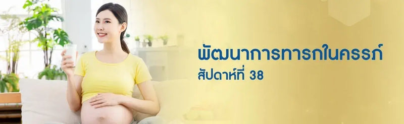 พัฒนาการทารกในครรภ์สัปดาห์ที่ 38