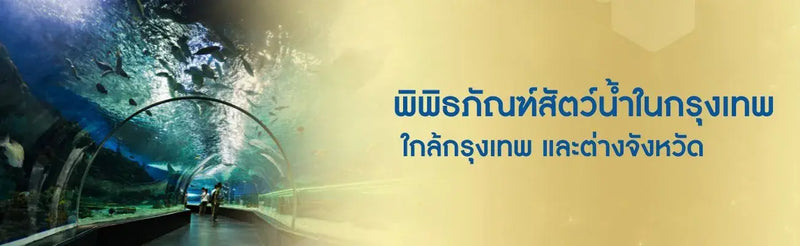 พิพิธภัณฑ์สัตว์น้ำในกรุงเทพ ใกล้กรุงเทพ และต่างจังหวัด