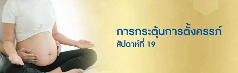 การกระตุ้นครรภ์ สัปดาห์ที่ 19