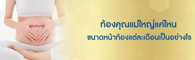 ขนาดหน้าท้องแต่ละเดือน