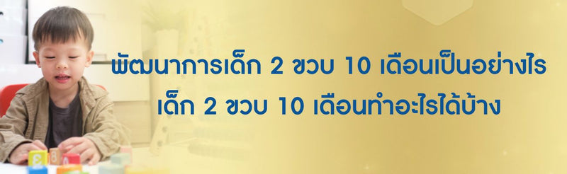 พัฒนาการเด็ก 2 ขวบ 10 เดือน