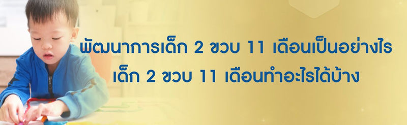 พัฒนาการ 2 ขวบ 11 เดือน