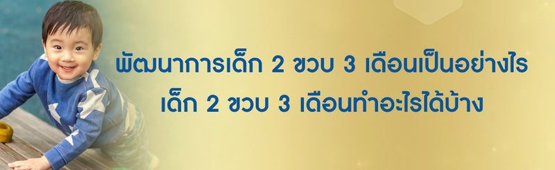 พัฒนาการเด็ก 2 ขวบ 3 เดือน