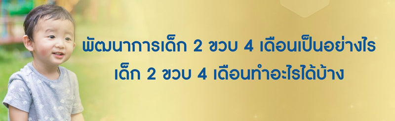 พัฒนาการเด็ก 2 ขวบ 4 เดือน