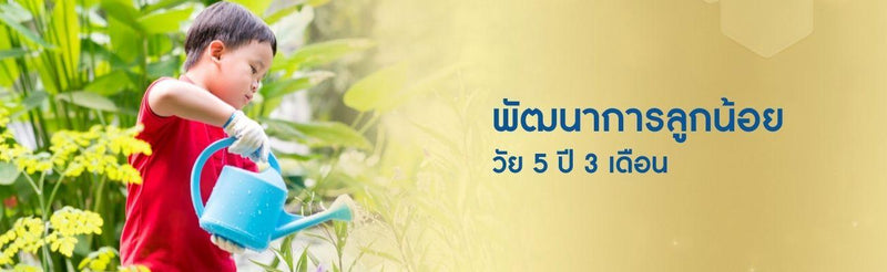 5 ปี 3 เดือน