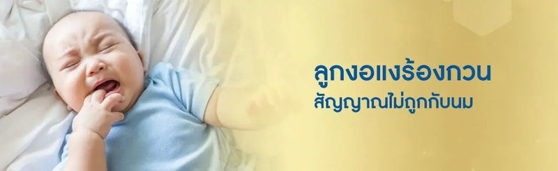แพ้ นม