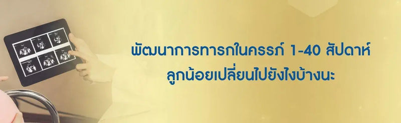 พัฒนาการทารกในครรภ์