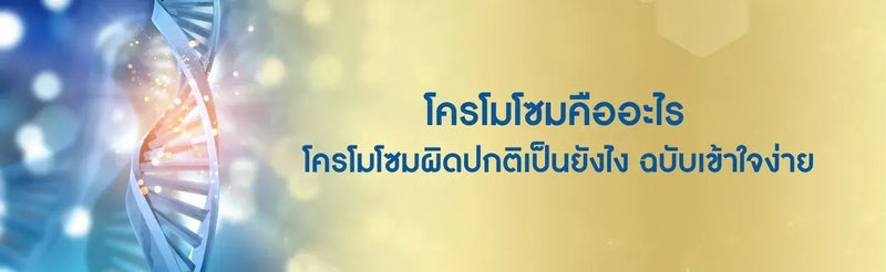 โครโมโซม