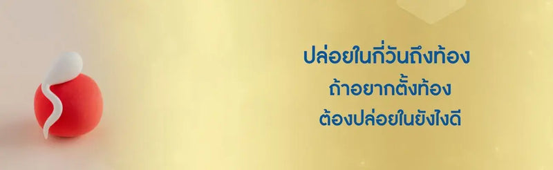 ปล่อยในกี่วันถึงท้อง