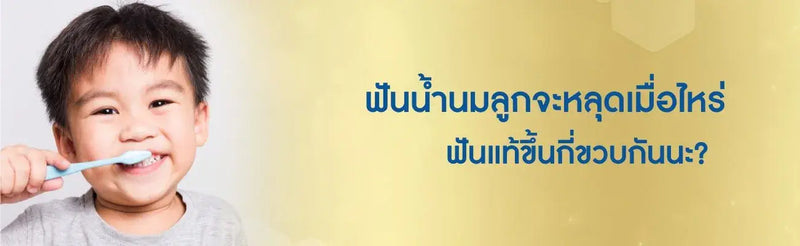 ฟันแท้ขึ้นกี่ขวบ