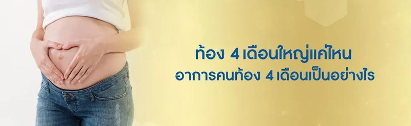 ท้อง 4 เดือน