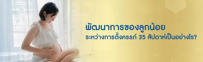 พัฒนาการของลูกน้อยระหว่างการตั้งครรภ์ 35 สัปดาห์เป็นอย่างไร?