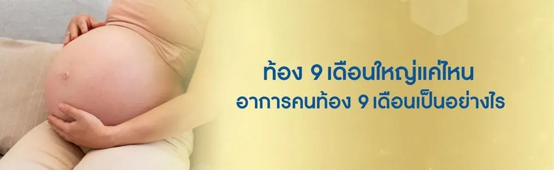 ท้อง 9 เดือน