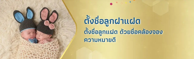 ตั้งชื่อลูกฝาแฝด ด้วยชื่อคล้องจอง ความหมายดี
