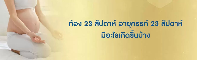 ท้อง 23 สัปดาห์