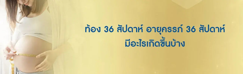 ท้อง 36 สัปดาห์