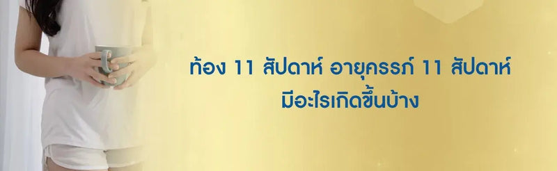 ท้อง 11 สัปดาห์