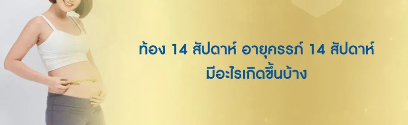 ท้อง 14 สัปดาห์