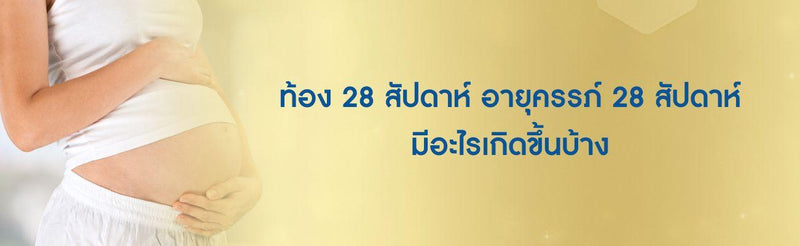 ท้อง 28 สัปดาห์