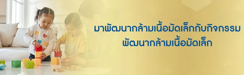 พัฒนากล้ามเนื้อมัดเล็ก
