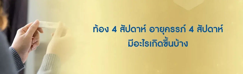 ท้อง 4 สัปดาห์
