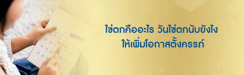 วันไข่ตกนับยังไง