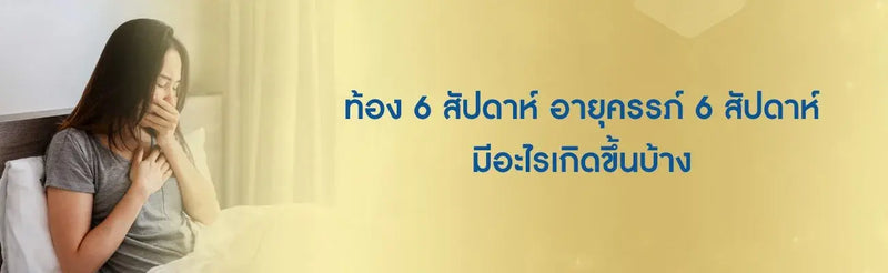 ท้อง 6 สัปดาห์