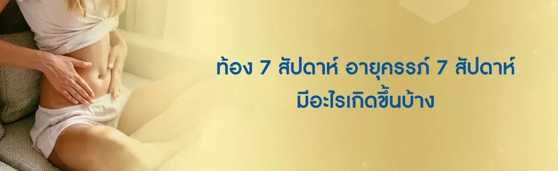 ท้อง 7 สัปดาห์