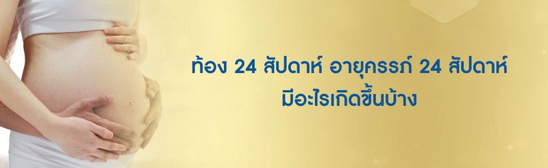 ท้อง 24 สัปดาห์