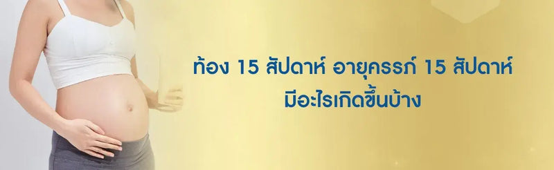 ท้อง 15 สัปดาห์