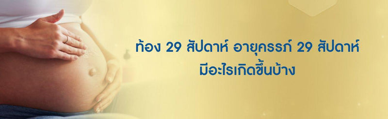ท้อง 29 สัปดาห์