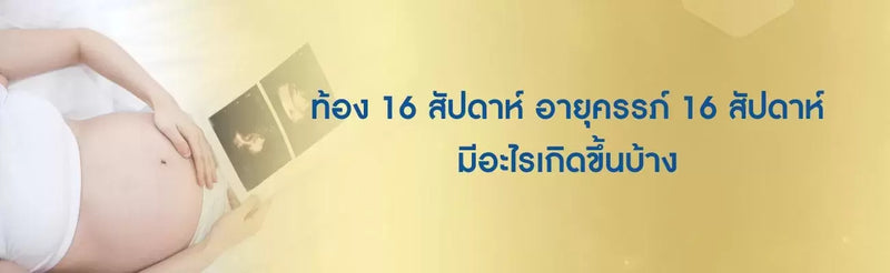 ท้อง 16 สัปดาห์