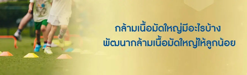 กล้ามเนื้อมัดใหญ๋มีอะไรบ้าง