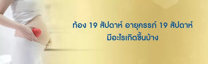 ท้อง 19 สัปดาห์