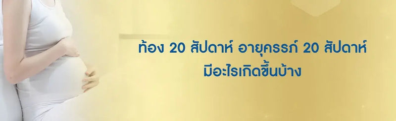 ท้อง 20 สัปดาห์