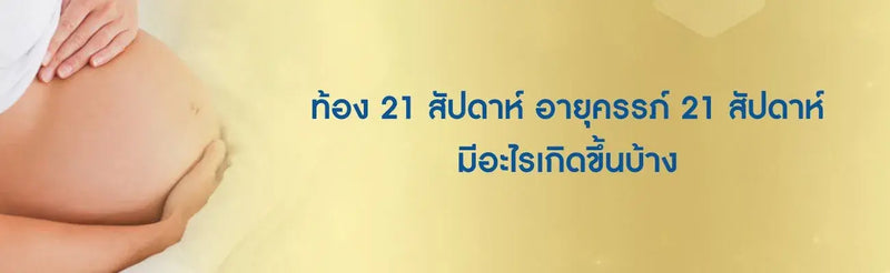 ท้อง 21 สัปดาห์