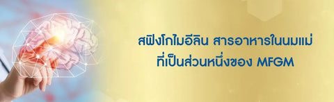 สฟิงโกไมอีลิน สารอาหารในนมแม่ที่เป็นส่วนหนึ่งของ MFGM