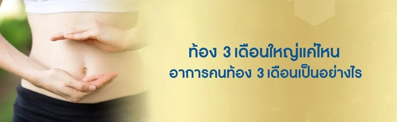 ท้อง 3 เดือน