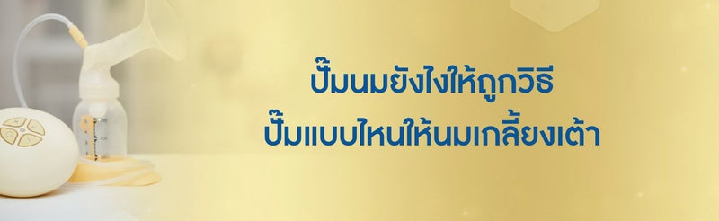 ปั๊มนม