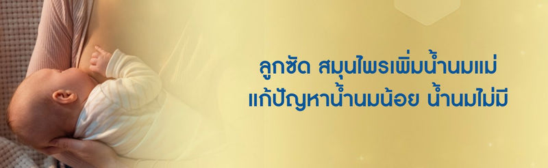 ลูกซัด
