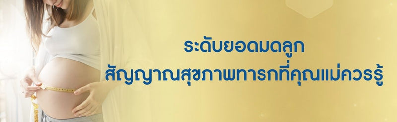 ระดับยอดมดลูก