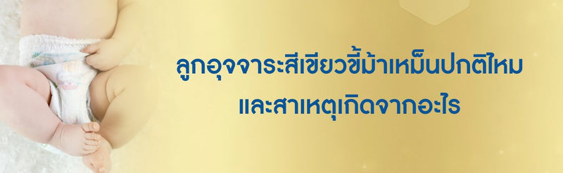ลูกอุจจาระสีเขียวขี้ม้าเหม็น