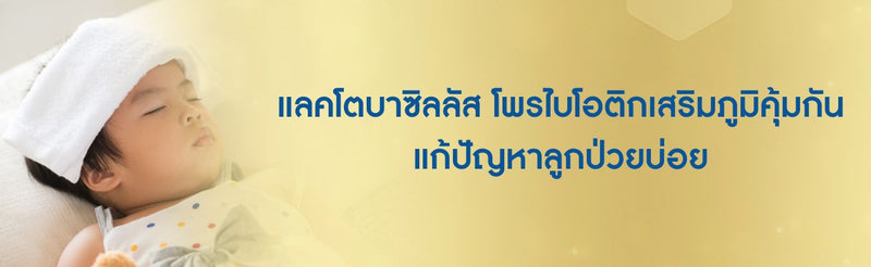 แลคโตบาซิลลัส