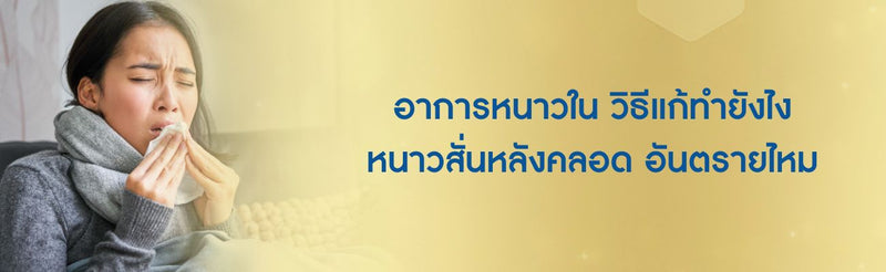 อาการหนาวใน วิธีแก้