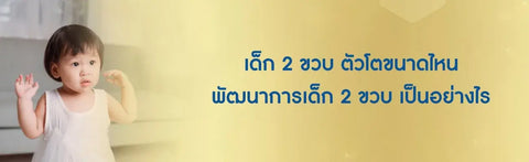 เด็ก 2 ขวบ ตัวโตขนาดไหน พัฒนาการเด็ก 2 ขวบ เป็นอย่างไร