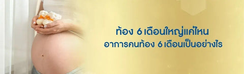 ท้อง 6 เดือนใหญ่แค่ไหน อาการคนท้อง 6 เดือนเป็นอย่างไร