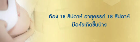 ท้อง 18 สัปดาห์ อายุครรภ์ 18 สัปดาห์ มีอะไรเกิดขึ้นบ้าง