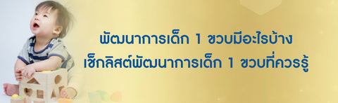 พัฒนาการเด็ก 1 ขวบมีอะไรบ้าง เช็กลิสต์พัฒนาการเด็ก 1 ขวบที่ควรรู้